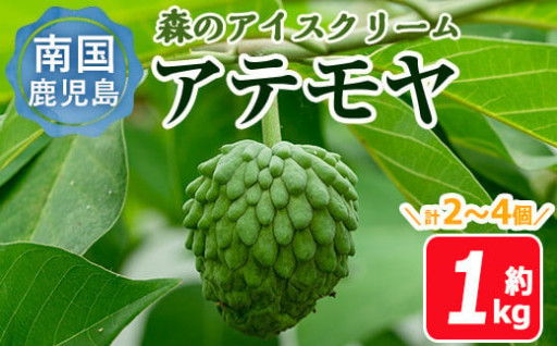 【数量限定】森のアイスクリーム 国産アテモヤ (約1kg・計2～4個入)