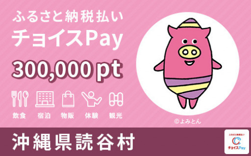 読谷村 チョイスPay 300,000ポイント【会員限定のお礼の品】