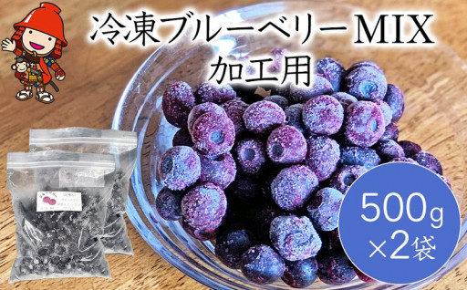 ジャムやお料理のソース、焼き菓子に！冷凍ブルーベリー