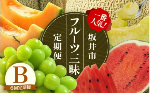 【定期便6回】✨🍉坂井市フルーツ三昧🍈✨