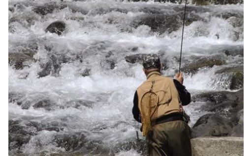 ＜木曽川での渓流釣りを楽しむ＞遊漁許可証(年券)