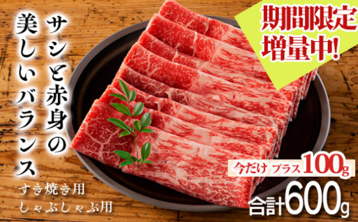 【在庫残りわずか】期間限定増量中!日本一美味しい黒毛和牛の「宮崎牛スライス」（600g）