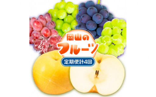 【岡山のフルーツが4回届く！】岡山のフルーツ定期便
