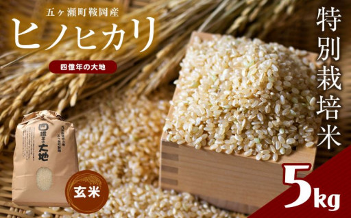 特別栽培米  四億年の大地（ヒノヒカリ玄米） 5kg