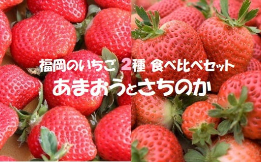 塩工房野次馬☆こだわりのブレンド塩6種食べ比べセット[E2036] - 福岡