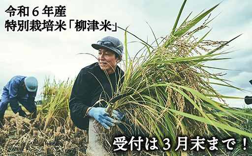 3月末までの受付！町の名前を背負う特別栽培米