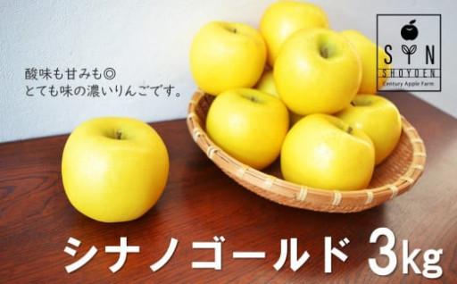 松陽園 樹上 完熟 りんご シナノゴールド 3kg