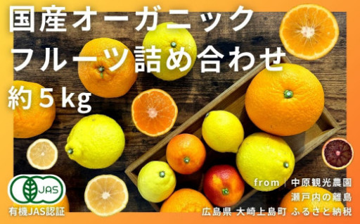 【NEW】国産オーガニックフルーツ詰合せ 5kg