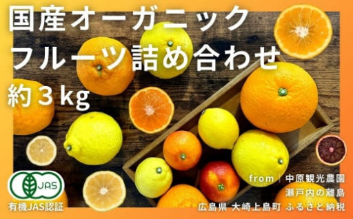 【NEW】国産オーガニックフルーツ詰合せ 3kg