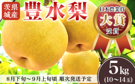 🍐【数量限定】第49回「日本農業賞の大賞を受賞」した下妻の梨をお届けします！