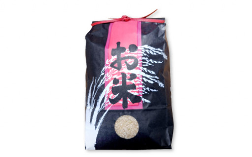 【新登場】〈玄米〉島根県産 コシヒカリ 30kg