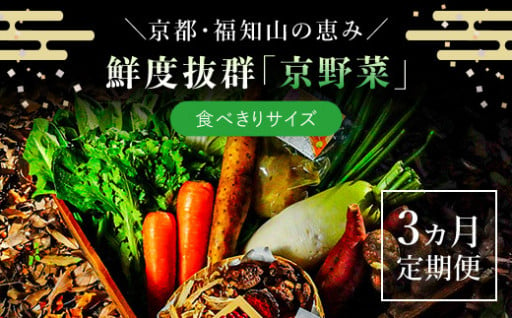 大人気！鮮度抜群「京野菜」食べきりサイズ詰合せの【定期便】が登場しました！