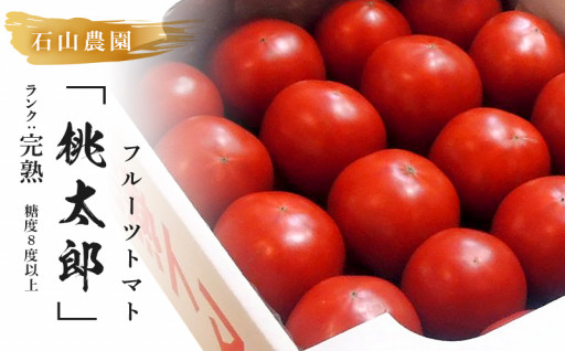 トマト 美味しんぼに登場したトマト 16～25玉