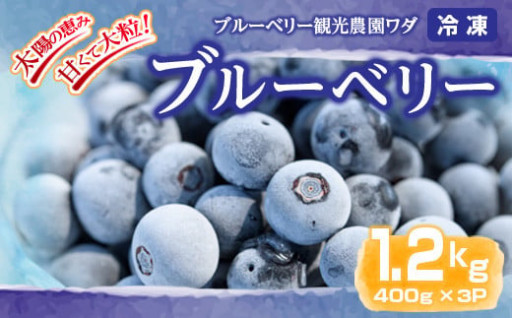 冷凍ブルーベリー 1.2kg［400g×3P］