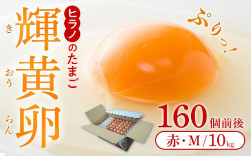 ヒラノのたまご 輝黄卵(きおうらん)赤Mサイズ10kg(160個前後)