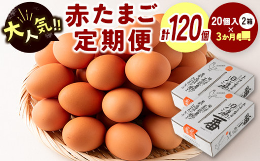 ＜児湯養鶏自慢の卵＞ 40個×3か月定期便