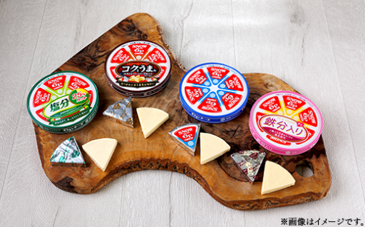 🧀食べ比べ🧀雪印メグミルク6Pチーズ詰め合わせセット（12品）