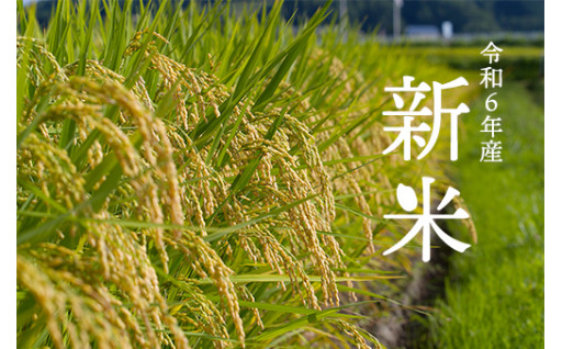 【令和6年産 新米】秋収穫の米沢の「米」