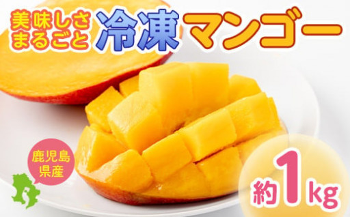 鹿児島県産！美味しさまるごと冷凍マンゴー(約1kg)