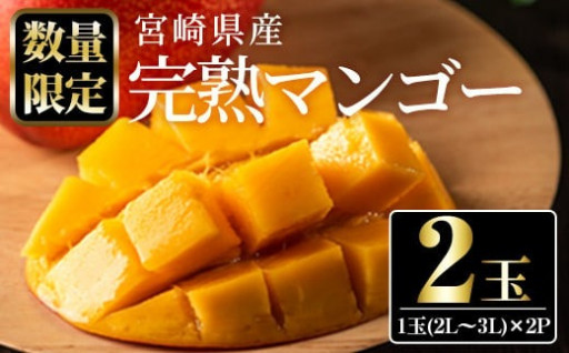 先行予約受付中！宮崎県産完熟マンゴー 2パック
