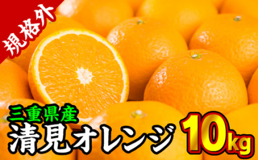【規格外】三重県産　清見オレンジ（きよみ） 10kg【出荷目安：３月中旬〜４月中旬】 II-55