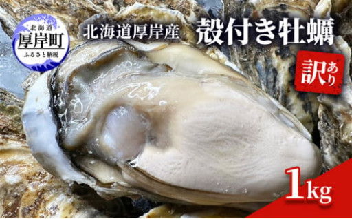 訳あり 北海道 厚岸産 殻付き 牡蠣 1kg