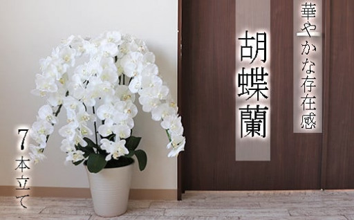まるで生花のように美しい「胡蝶蘭」開店開業祝いの贈り物としておすすめ！