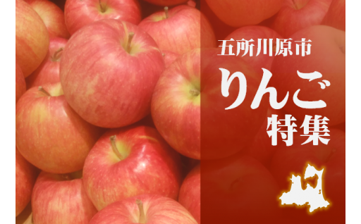 【自分好みのりんご探しに】青森県産りんご特集