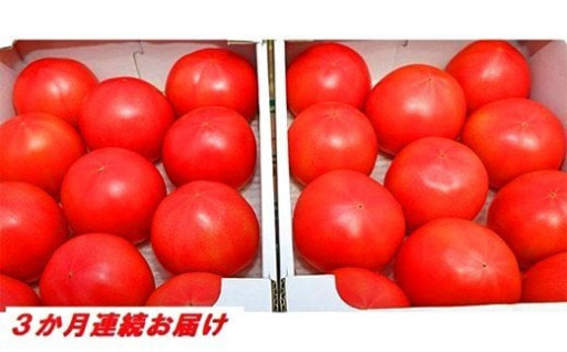 【3か月定期便】甘熟トマト『白岡の太陽』約4kg×3か月