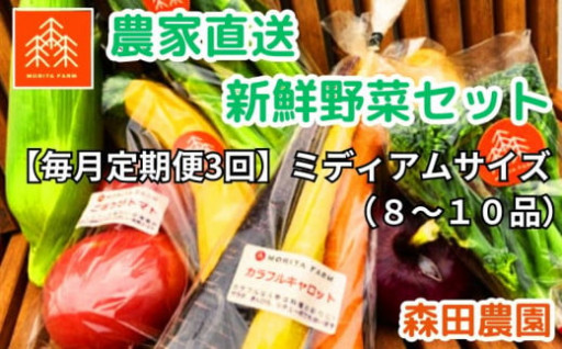 【毎月定期便３回】農家直送新鮮野菜セット（ミディアム）８～１０品