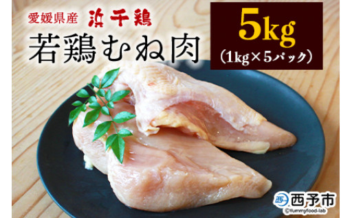 銘柄鶏 浜千鳥 愛媛県産 若鶏むね肉 5kg