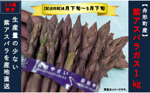 【限定50箱】舟形町産 紫アスパラガス１kg