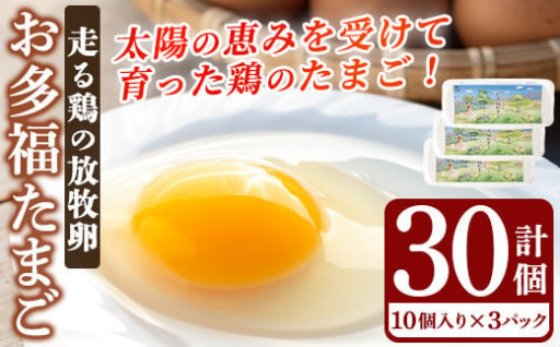 走る鶏の放牧卵「お多福たまご」(計30個・1パック(10個入り)×3パック)