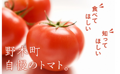 美容と健康🍅野木町の栄養たっぷり美味しい♪トマト特集