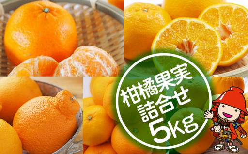 【先行予約】柑橘果実5kgのおまかせ詰め合わせ