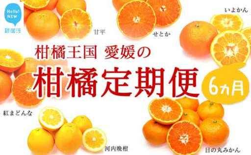 大人気【定期便】柑橘王国愛媛の柑橘定期便 6か月