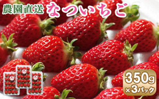 【2024年7月より発送予定】北海道羽幌町産・なついちごの受付を開始致しました！