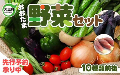 【先行予約承り中】産地直送の野菜！大玉村の旬の野菜をお試しあれ！