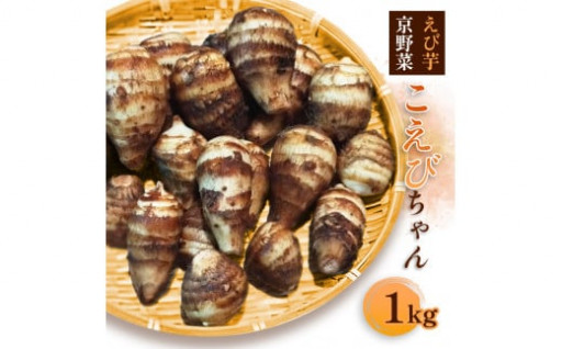 【先行予約】 冬の京野菜 えびいも 1kg