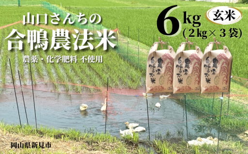 山口さんちの合鴨農法米 玄米 (2kg×3袋)