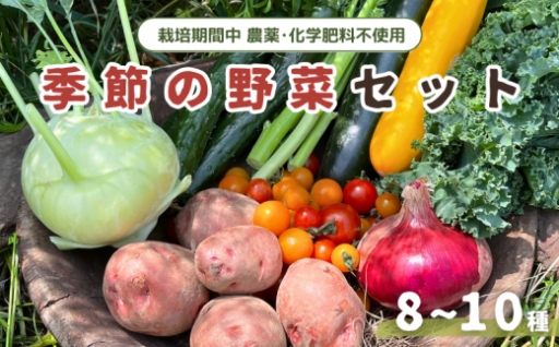 栽培期間中、農薬・化学肥料不使用のお野菜がお家に！季節の野菜セット (8~10種)