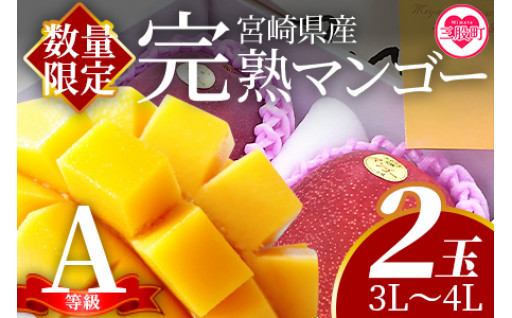 食品・飲料・酒宮崎県産 完熟マンゴー 1.5kg ばら x 3