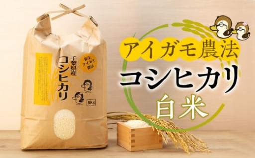 アイガモ農法によるお米コシヒカリ（白米10kg）【Ｒ6年産予約】