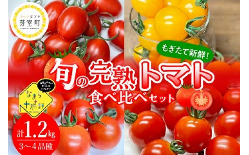 【🌽北海道芽室町🌽】もぎたて新鮮✨完熟トマト食べ比べセレクション🍅