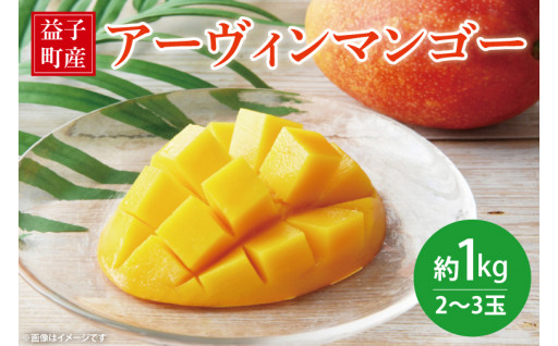 【益子町産】暑い夏の日にもぴったりな、最高品質のアーヴィンマンゴー！