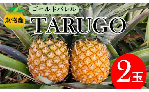【沖縄県東村産】東物産「TARUGO」2.5kg（2玉）　2024年発送