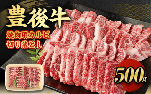 豊後牛 焼肉用 カルビ 切り落とし 500g