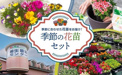 季節の花苗セット