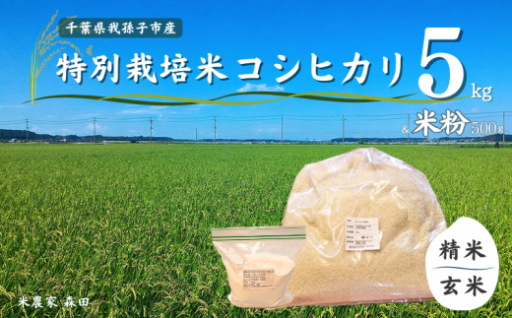 冷めても美味しい! 特別栽培米 コシヒカリ 5kg & 米粉 精米/玄米