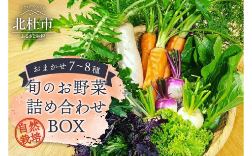 八ヶ岳ピースファーム　旬のお野菜詰め合わせBOX